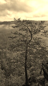 Sepia
