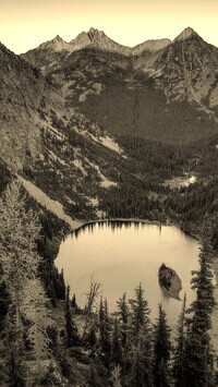Szary + Sepia