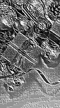 Skamielina