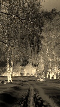 Sepia + Negatyw