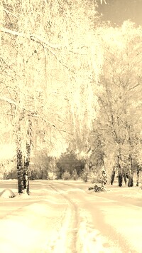 Sepia