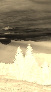 Sepia + Negatyw
