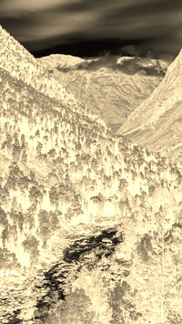 Sepia + Negatyw