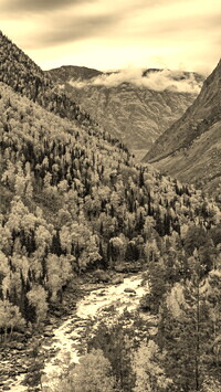 Sepia