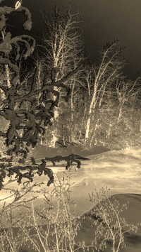 Sepia + Negatyw