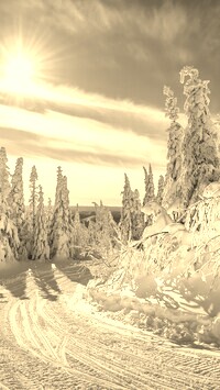 Szary + Sepia