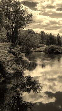 Sepia