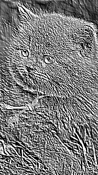 Skamielina
