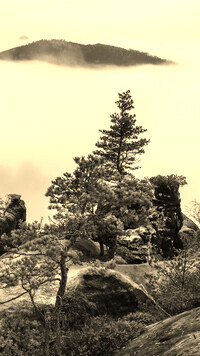 Szary + Sepia