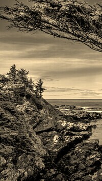 Sepia