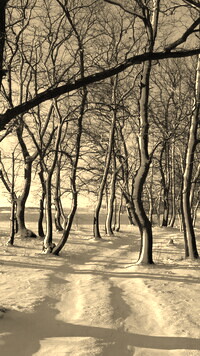 Szary + Sepia
