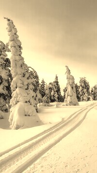 Szary + Sepia