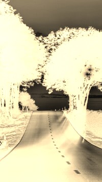 Sepia + Negatyw