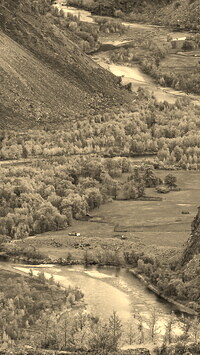 Sepia