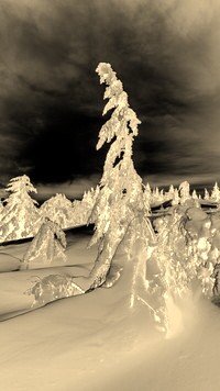 Sepia + Negatyw