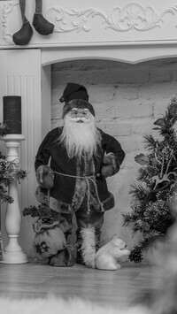 Szary