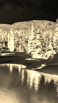 Sepia + Negatyw