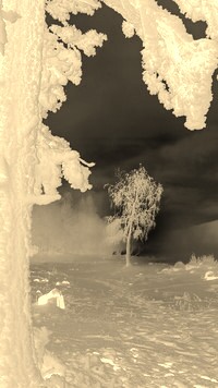 Sepia + Negatyw
