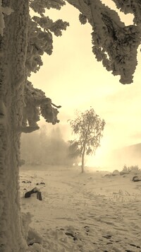 Szary + Sepia