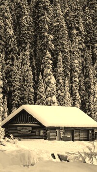 Sepia