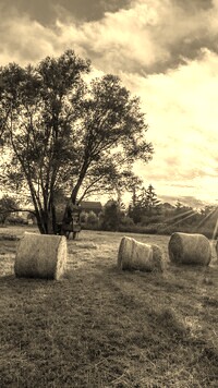 Szary + Sepia
