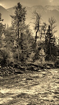 Szary + Sepia