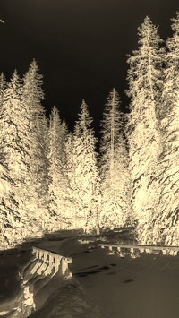 Sepia + Negatyw
