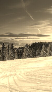 Szary + Sepia