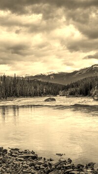 Sepia