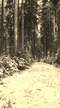 Szary + Sepia