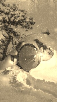 Szary + Sepia