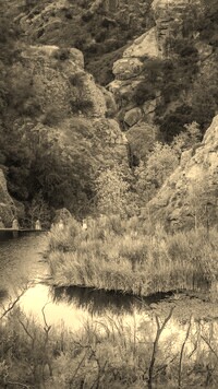 Sepia