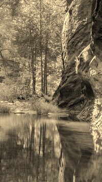 Szary + Sepia
