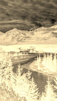 Sepia + Negatyw
