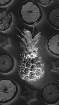 Szary + Negatyw