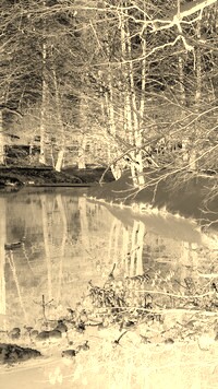 Sepia + Negatyw