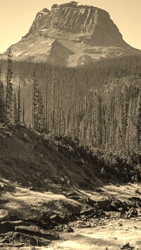 Sepia
