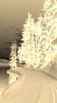 Sepia + Negatyw