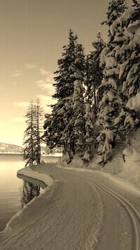 Sepia