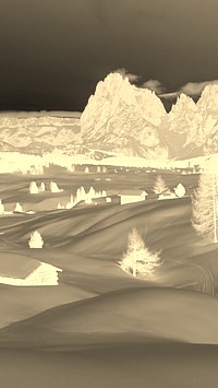 Sepia + Negatyw