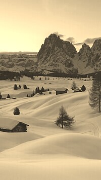 Szary + Sepia