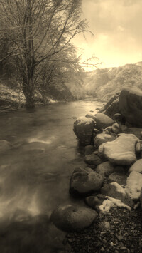 Sepia