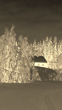 Sepia + Negatyw