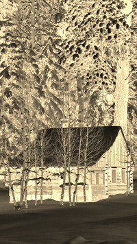 Sepia + Negatyw