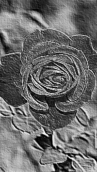 Skamielina
