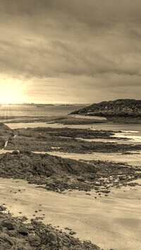 Szary + Sepia