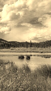 Szary + Sepia