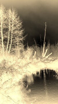 Sepia + Negatyw