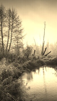 Szary + Sepia