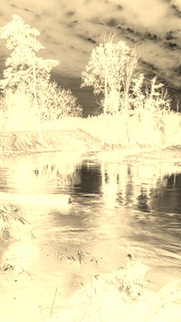 Sepia + Negatyw